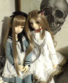 DSC00151.jpg