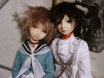 DSC00544.jpg